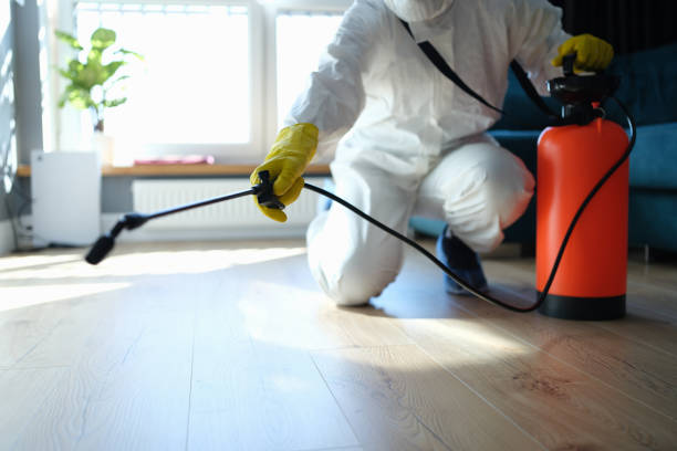 Reliable Odor Removal contractor in Independence, MO by Dulley Family Biohazard Services